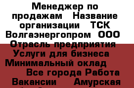 Менеджер по продажам › Название организации ­ ТСК Волгаэнергопром, ООО › Отрасль предприятия ­ Услуги для бизнеса › Минимальный оклад ­ 25 000 - Все города Работа » Вакансии   . Амурская обл.,Архаринский р-н